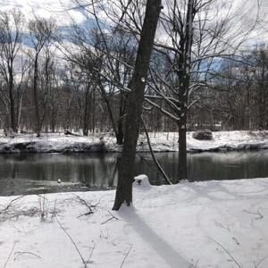 Meet your Posher, Joyce